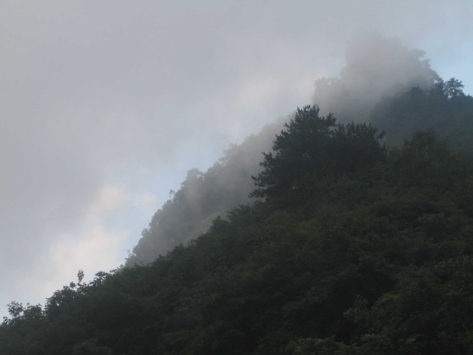 Versant boisé du massif de Belledonne dans la brume